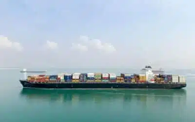 System8 Among the First Logistics Providers to Successfully Operate via the UAE-Oman Green Corridor
